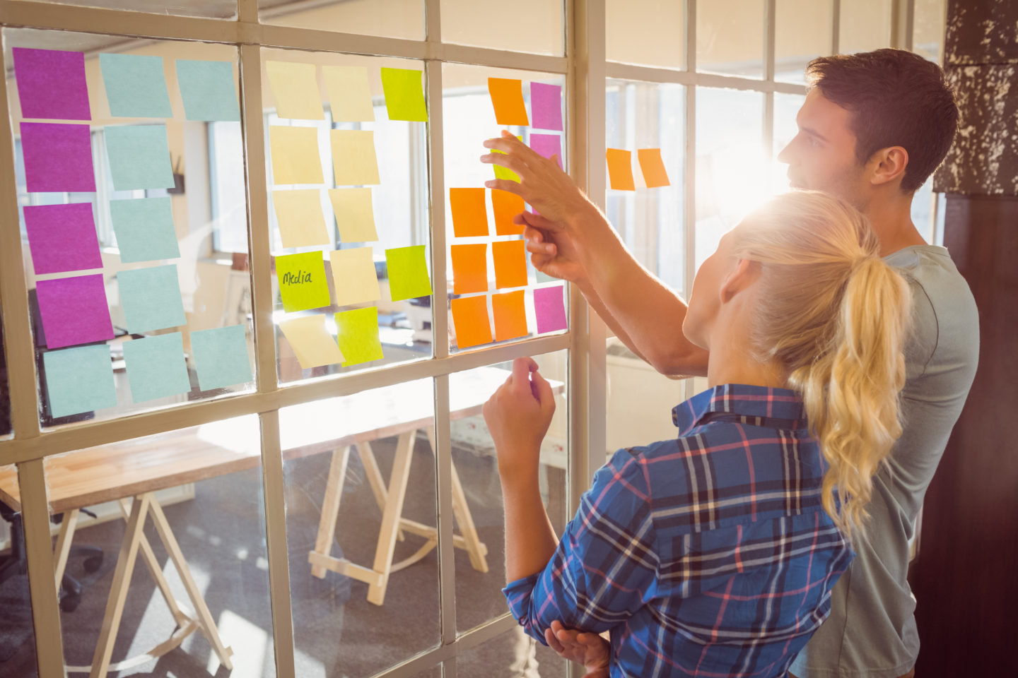 Web Design & Development